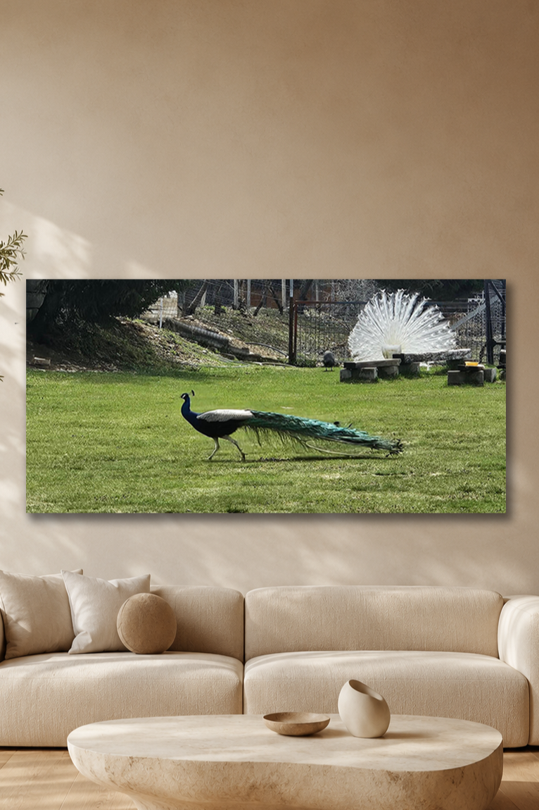 Tablou panoramic personalizat format orizontal