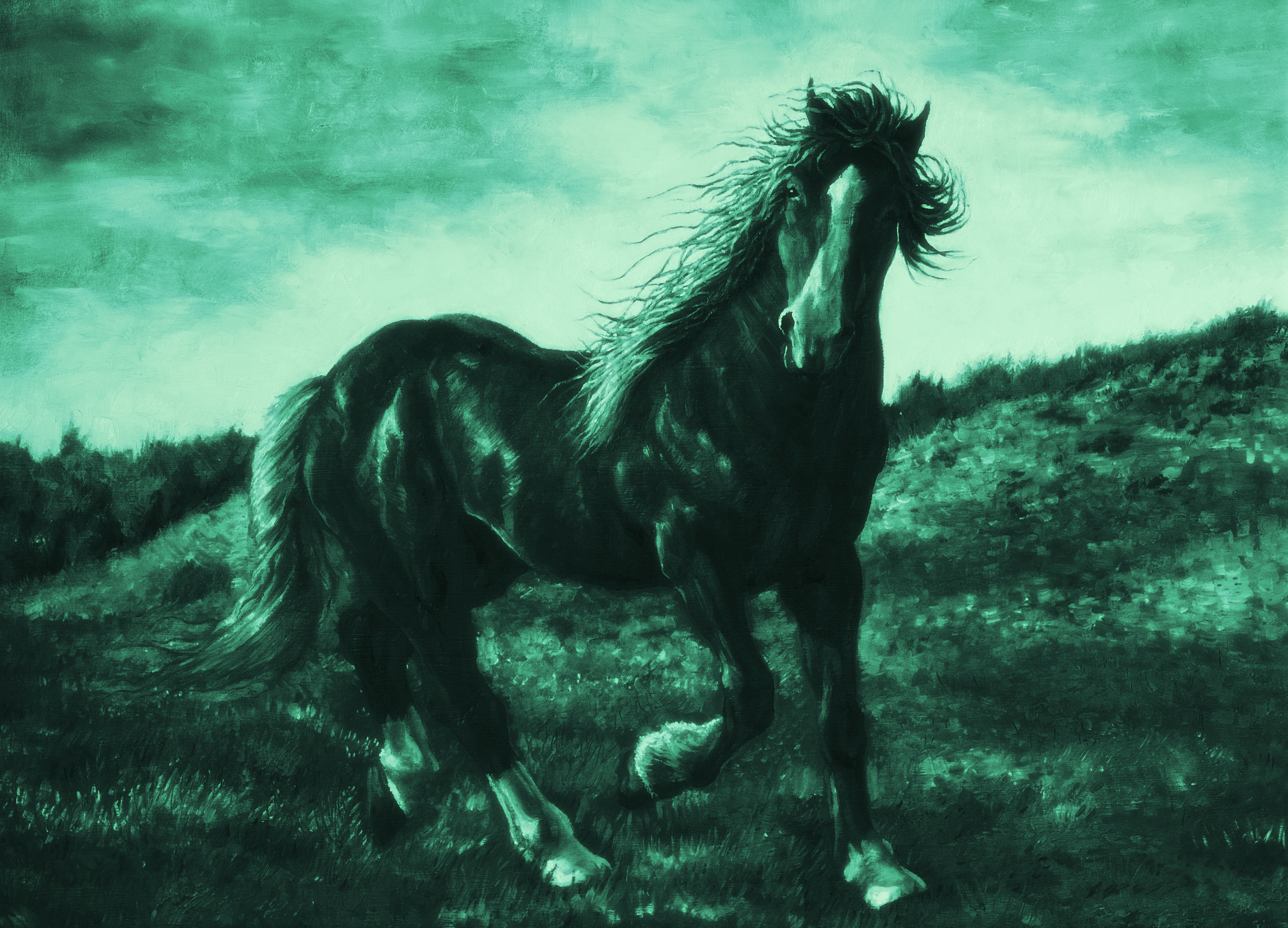 black and white