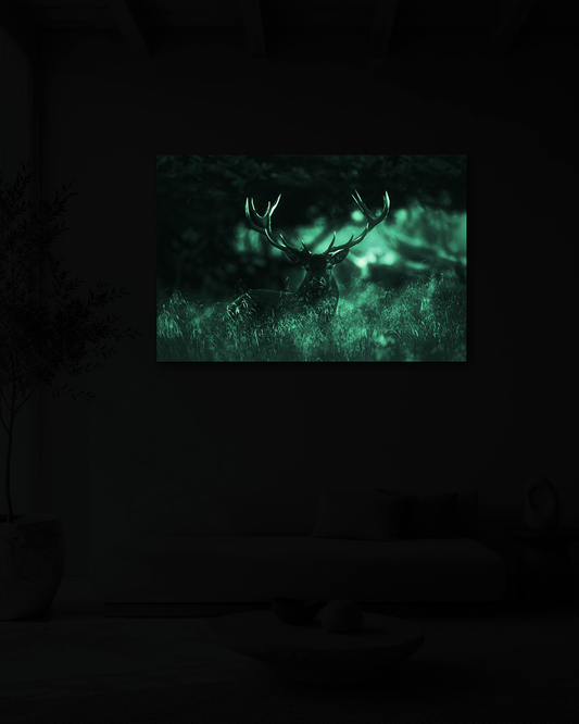 In the Light of the Forest
