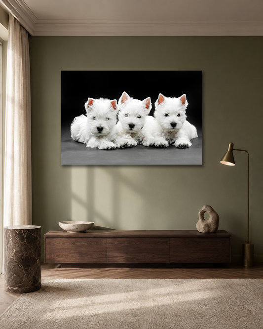 Three Little Friends