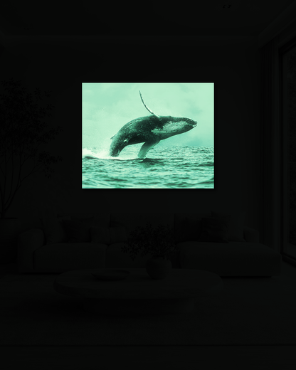 Ocean Ascent