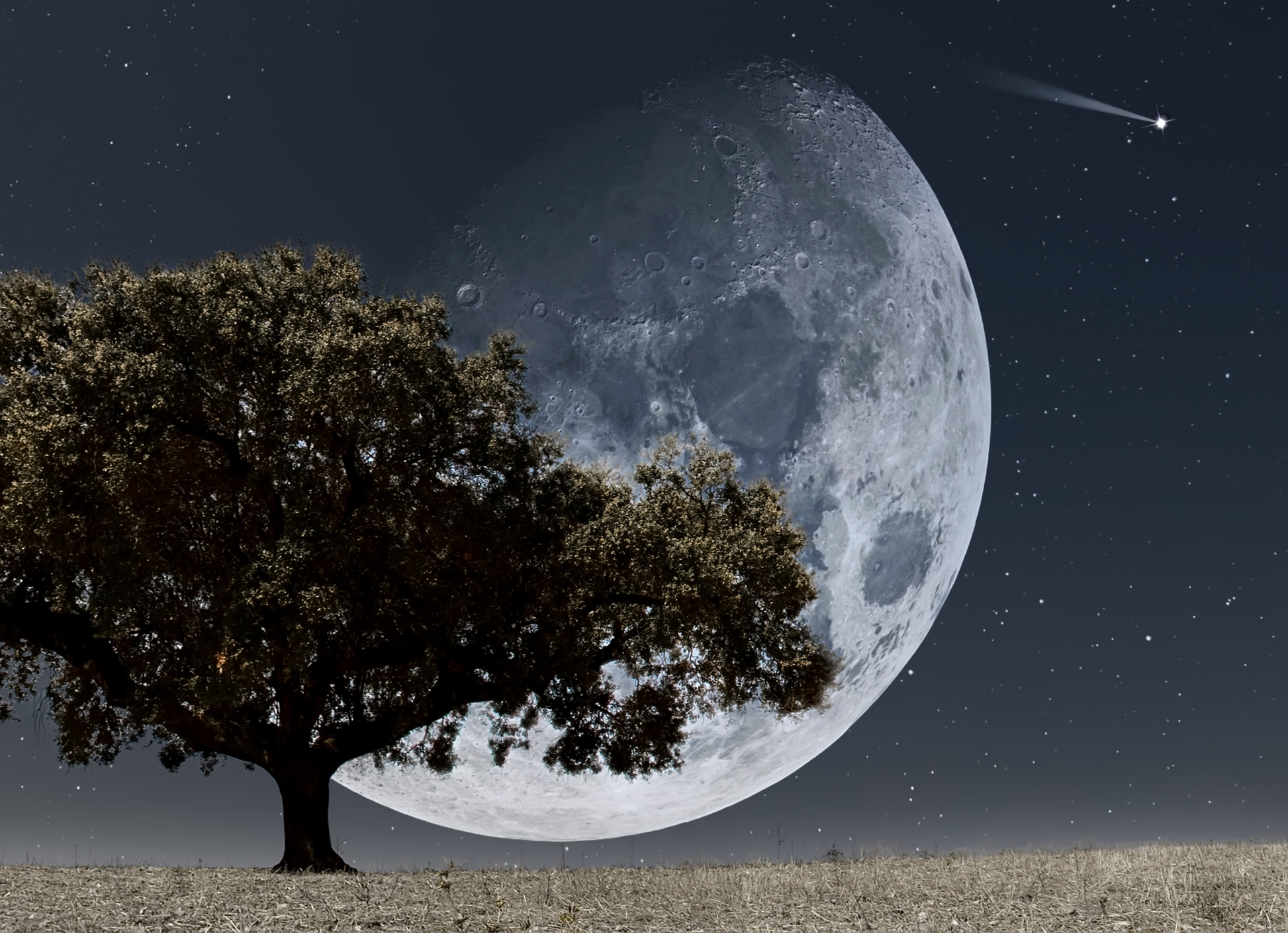 Großer Mond hinter einem dunklen Baum bei Nacht mit Sternenhimmel und heller Sternschnuppe als hochwertiges Cosmos- und Natur-Wandbild.