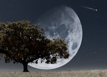 Großer Mond hinter einem dunklen Baum bei Nacht mit Sternenhimmel und heller Sternschnuppe als hochwertiges Cosmos- und Natur-Wandbild.
