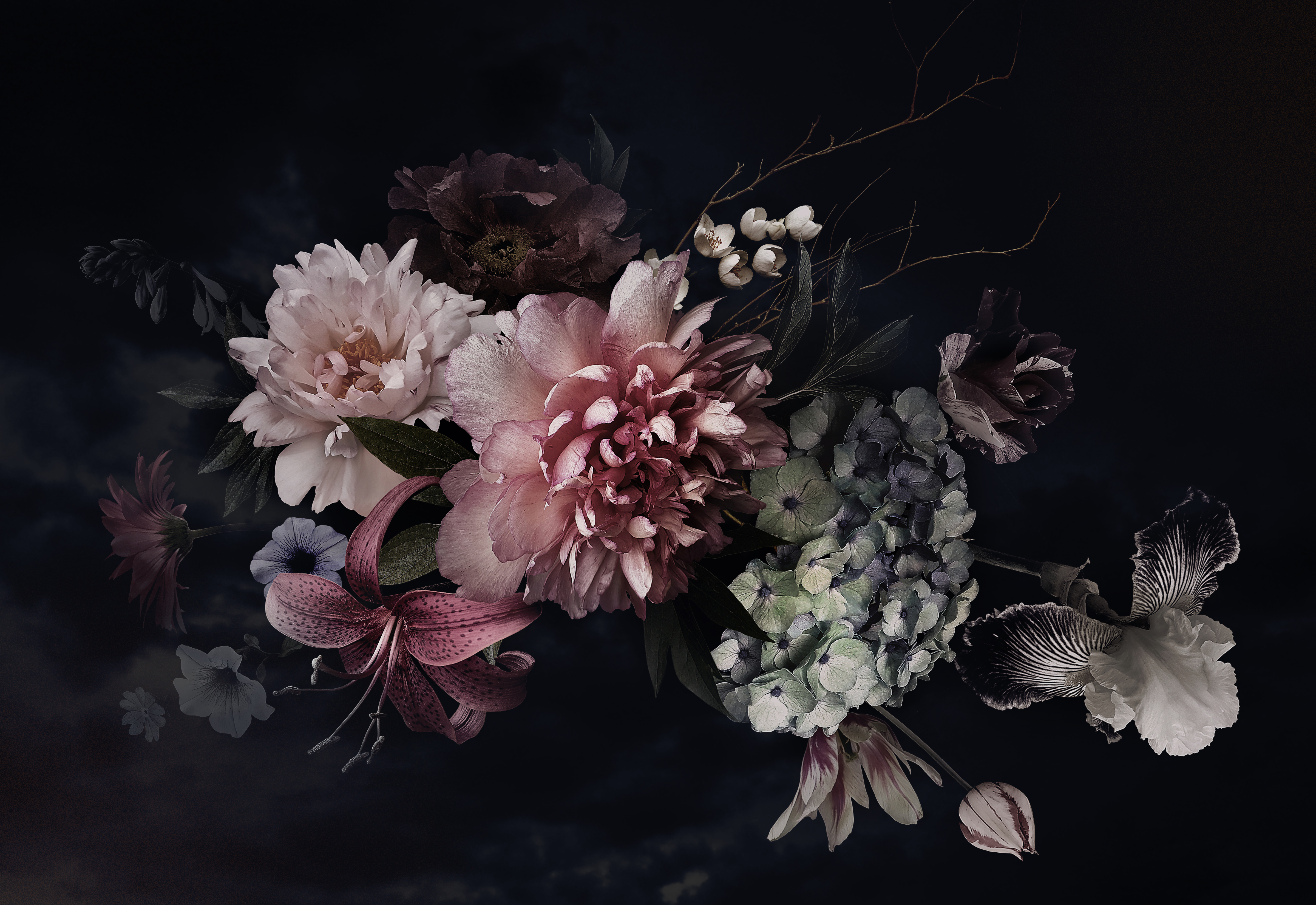color photo