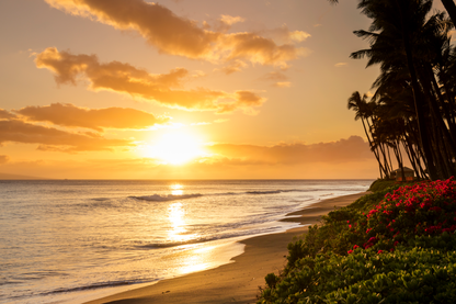 Tropischer Strand bei Sonnenuntergang mit Palmen, goldener Meeresoberfläche, sanften Wellen und roten Blüten als hochwertiges Küsten-Wandbild.